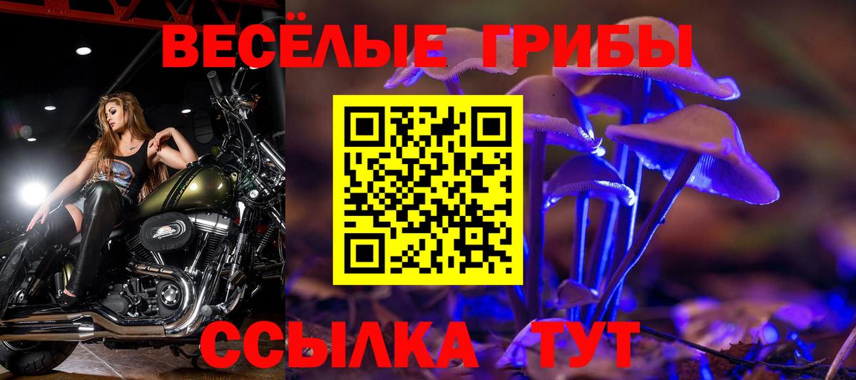 Асино  Галлюциногенные грибы Magic Shrooms  Галлюциногенные грибы GOLDEN TEACHER  Вход с VPN 