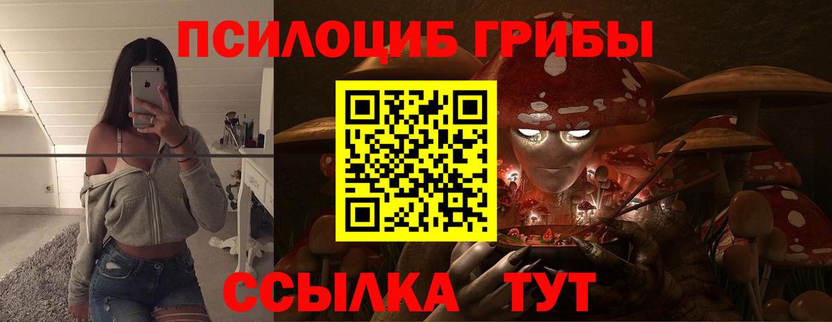 Галлюциногенные грибы прущие грибы Асино